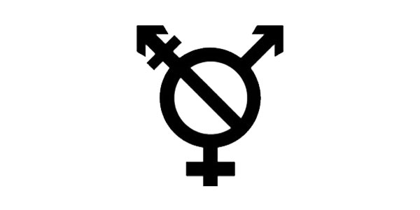 Transgender symbol, Rumpusparable