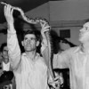 Snake Handling Preacher in Kentucky Dies